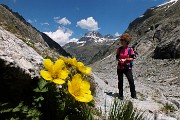 Valle e ghiacciaio del Forno dal Passo del Maloja (Svizzera) il 23 giugno 2016 - FOTOGALLERY